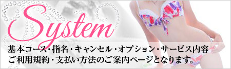 料金システム
